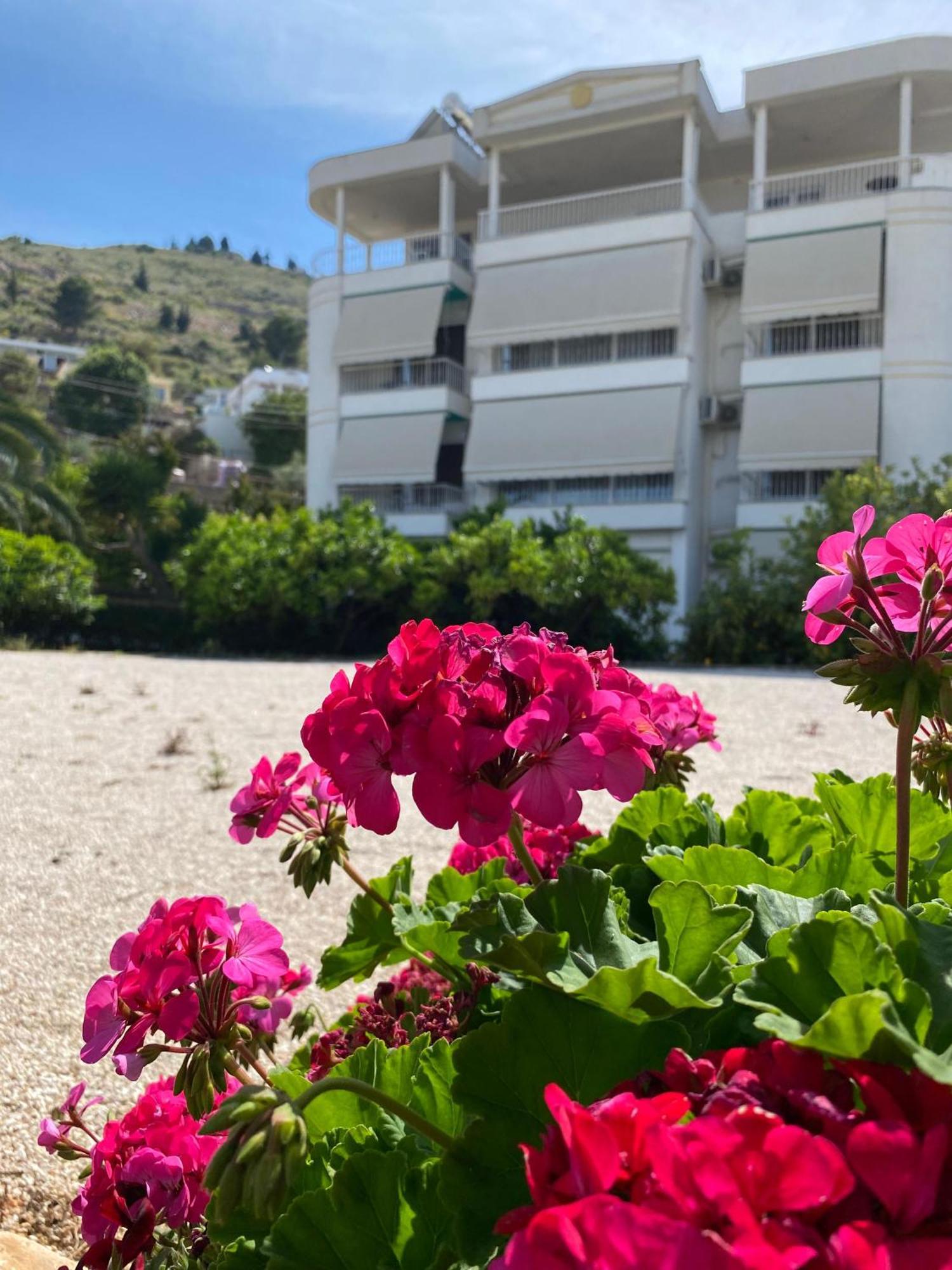 Vila Marjana ساراندا المظهر الخارجي الصورة